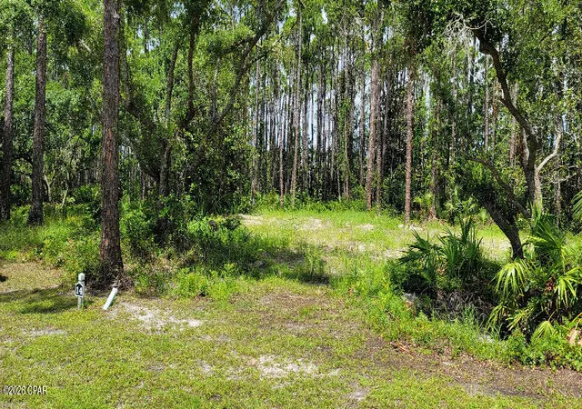 Photo 2 of Land for sale at 14 Waters Edge Dr, Port Saint Joe, FL 32456 | MLS# 793503 | Listing updated on 2026-08-07