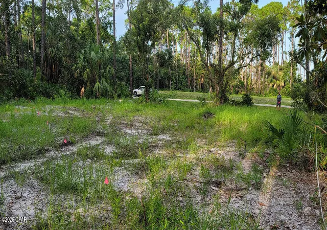 Photo 3 of Land for sale at 14 Waters Edge Dr, Port Saint Joe, FL 32456 | MLS# 793503 | Listing updated on 2026-08-07