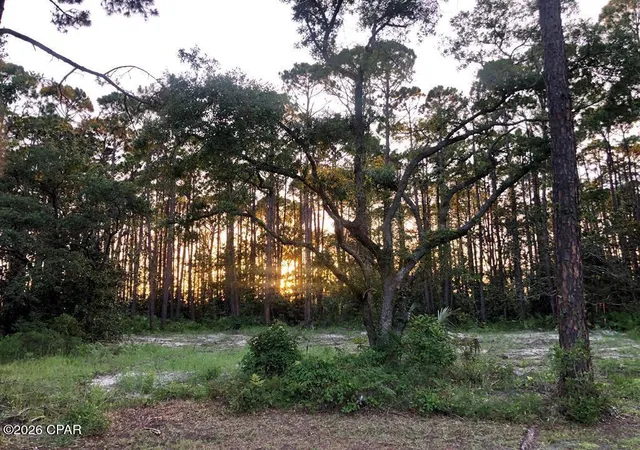 Photo 4 of Land for sale at 14 Waters Edge Dr, Port Saint Joe, FL 32456 | MLS# 793503 | Listing updated on 2026-08-07