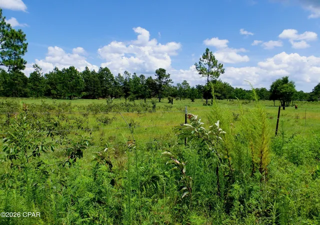 Photo 2 of Land for sale at 410 Foxchase Dr, Wewahitchka, FL 32465 | MLS# 793543 | Listing updated on 2026-08-04