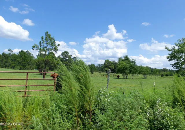 Photo 3 of Land for sale at 410 Foxchase Dr, Wewahitchka, FL 32465 | MLS# 793543 | Listing updated on 2026-08-04