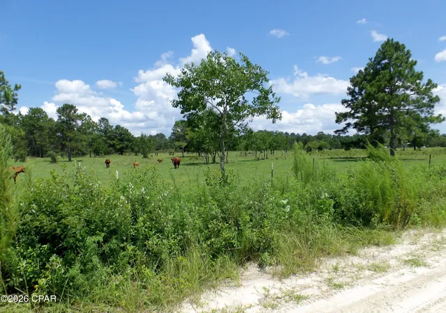 Photo 3 of Land for sale at 410 Foxchase Dr, Wewahitchka, FL 32465 | MLS# 793543 | Listing updated on 2026-08-04