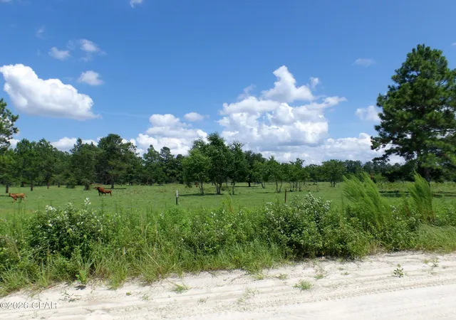 Photo 4 of Land for sale at 410 Foxchase Dr, Wewahitchka, FL 32465 | MLS# 793543 | Listing updated on 2026-08-04