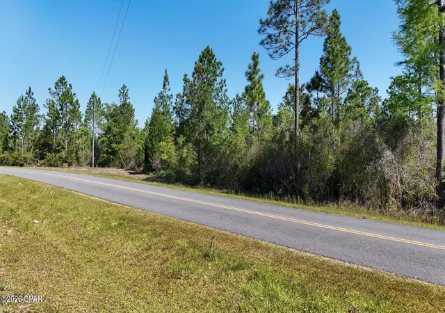 Land for sale at 4360 NW Miller Rd, Altha, FL 32421 | MLS# 793555