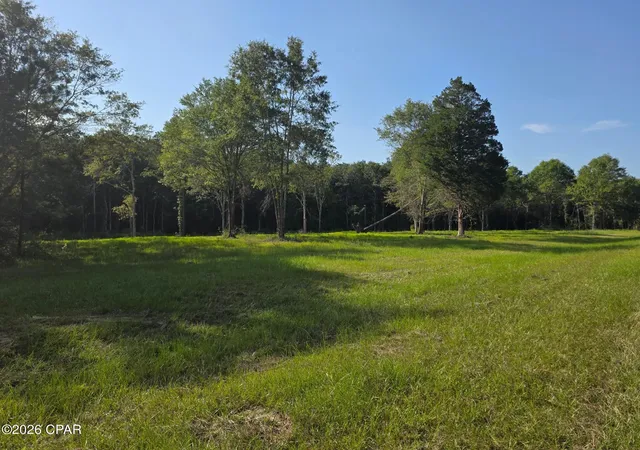 Land for sale at Lot 54 Reedy Crk Xing #Lot 54, Westville, FL 32464 | MLS# 793580