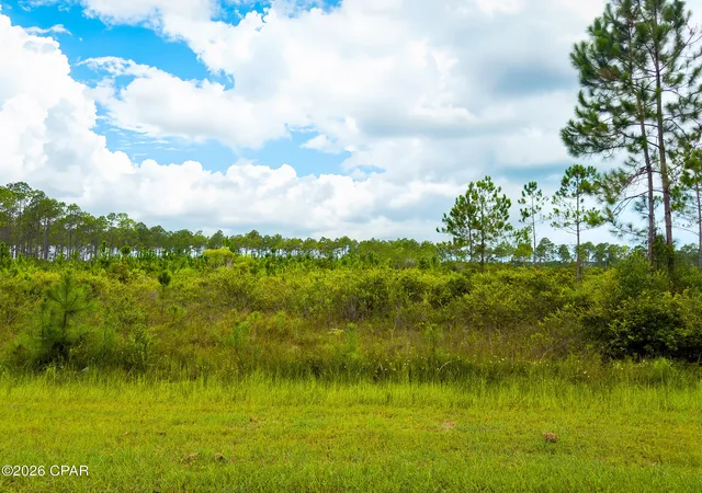 Photo 2 of Land for sale at 195 Jones Homestead Rd, Port Saint Joe, FL 32456 | MLS# 793586 | Listing updated on 2026-08-06