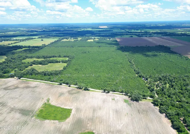 Land for sale at 00 Sylvantia Plantation Rd, Greenwood, FL 32443 | MLS# 793615