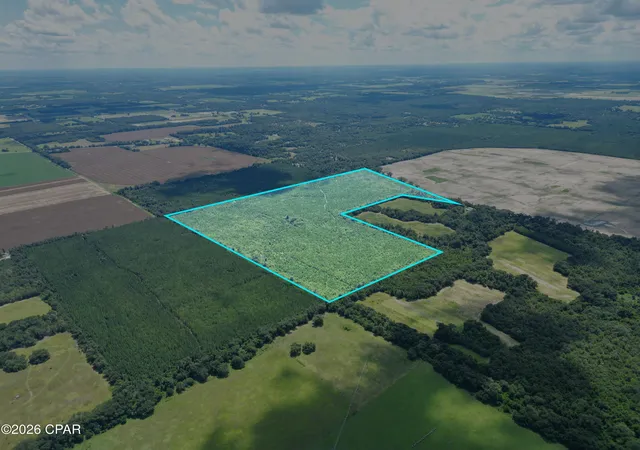 Photo 2 of Land for sale at 00 Sylvantia Plantation Rd, Greenwood, FL 32443 | MLS# 793615 | Listing updated on 2026-08-25