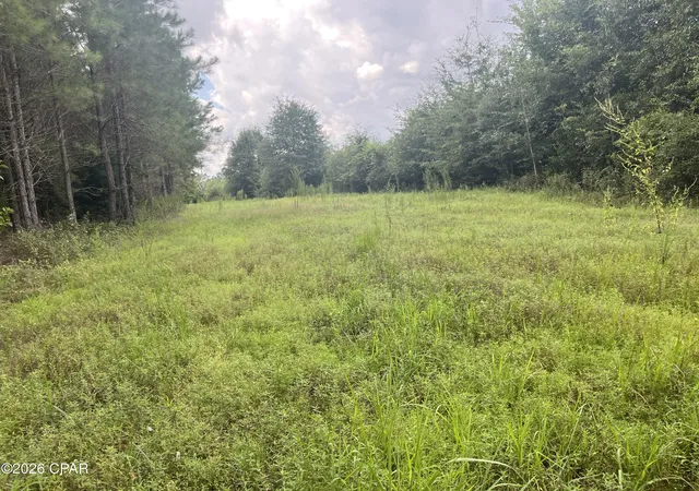 Photo 3 of Land for sale at 00 Sylvantia Plantation Rd, Greenwood, FL 32443 | MLS# 793615 | Listing updated on 2026-08-25