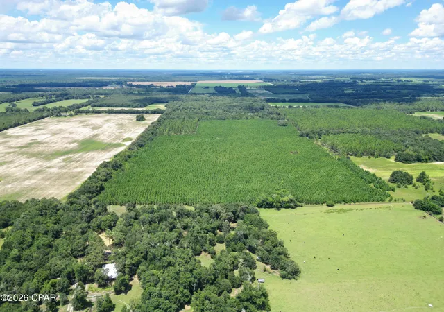 Photo 1 of Land for sale at (Undisclosed), Greenwood, FL 32443 | MLS# 793624 | Listing updated on 2026-08-25