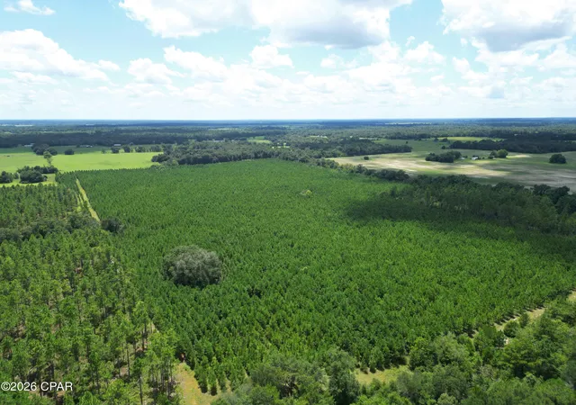 Photo 3 of Land for sale at (Undisclosed), Greenwood, FL 32443 | MLS# 793624 | Listing updated on 2026-10-05
