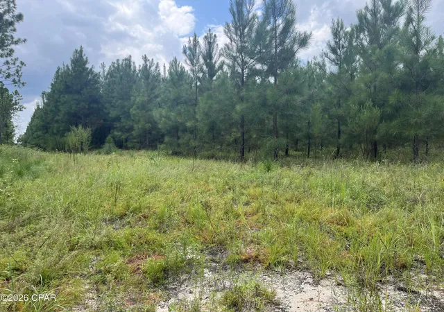 Photo 4 of Land for sale at (Undisclosed), Greenwood, FL 32443 | MLS# 793624 | Listing updated on 2026-10-05