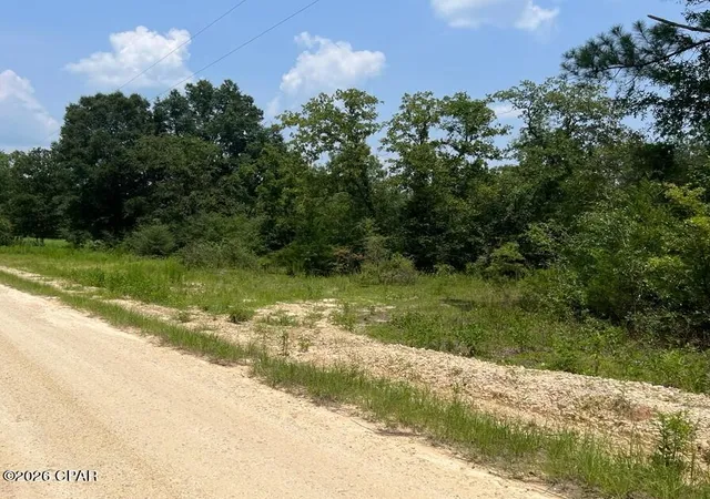 Photo 1 of Land for sale at 0 Alton Ln, Chipley, FL 32428 | MLS# 793686 | Listing updated on 2026-08-06