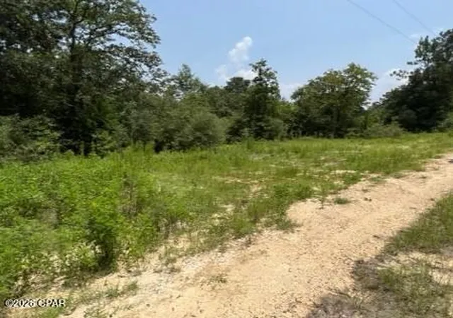 Photo 3 of Land for sale at 0 Alton Ln, Chipley, FL 32428 | MLS# 793686 | Listing updated on 2026-08-06