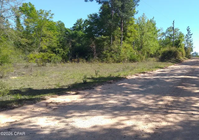 Photo 3 of Land for sale at 0 Alton Ln, Chipley, FL 32428 | MLS# 793686 | Listing updated on 2026-08-06