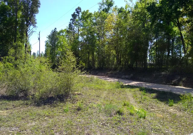 Photo 4 of Land for sale at 0 Alton Ln, Chipley, FL 32428 | MLS# 793686 | Listing updated on 2026-08-06