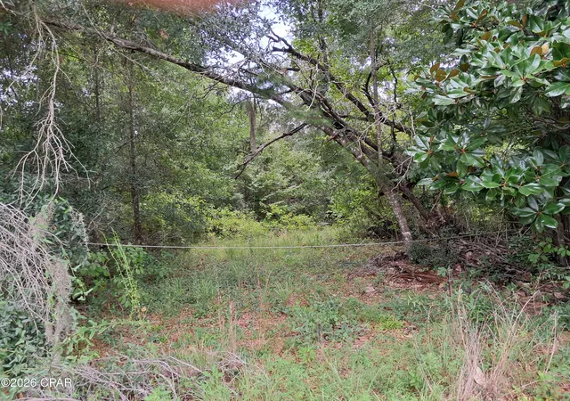 Photo 2 of Land for sale at 0000 Rooks Dr, Marianna, FL 32446 | MLS# 793696 | Listing updated on 2026-08-24