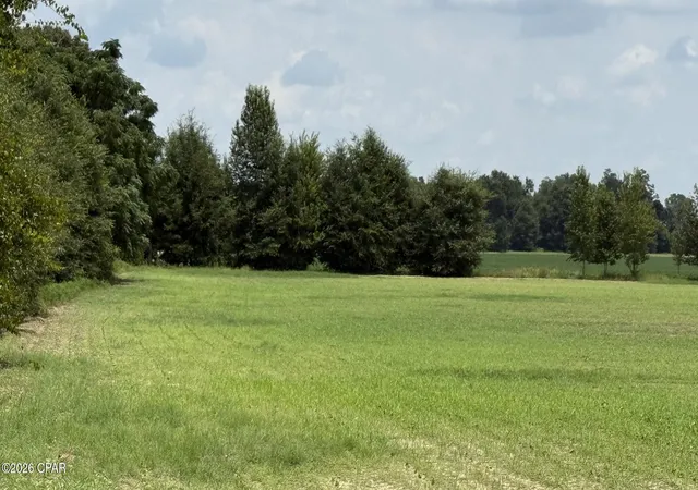 Photo 3 of Land for sale at 0 Malibu Rd, Bascom, FL 32423 | MLS# 793710 | Listing updated on 2026-08-07