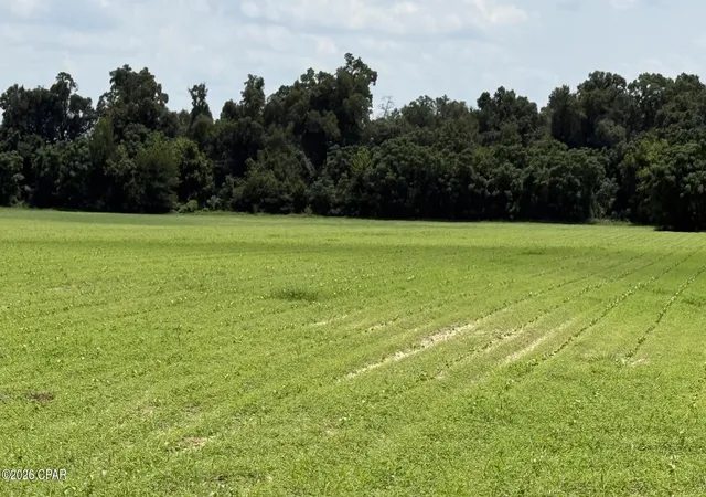 Photo 4 of Land for sale at 0 Malibu Rd, Bascom, FL 32423 | MLS# 793710 | Listing updated on 2026-08-07