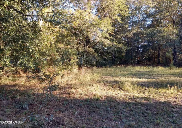 Photo 1 of Land for sale at 00 Marian Dr, Bonifay, FL 32425 | MLS# 793728 | Listing updated on 2026-08-07