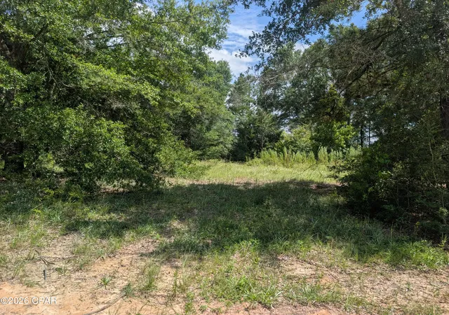 Photo 2 of Land for sale at 00 Marian Dr, Bonifay, FL 32425 | MLS# 793728 | Listing updated on 2026-08-07