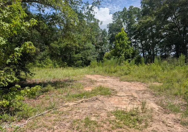 Photo 3 of Land for sale at 00 Marian Dr, Bonifay, FL 32425 | MLS# 793728 | Listing updated on 2026-08-07