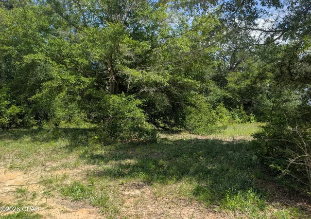 Photo 3 of Land for sale at 00 Marian Dr, Bonifay, FL 32425 | MLS# 793728 | Listing updated on 2026-08-07