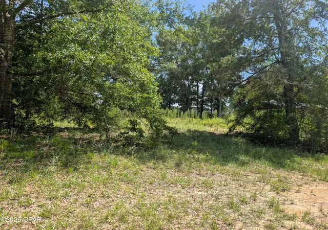 Photo 4 of Land for sale at 00 Marian Dr, Bonifay, FL 32425 | MLS# 793728 | Listing updated on 2026-08-07
