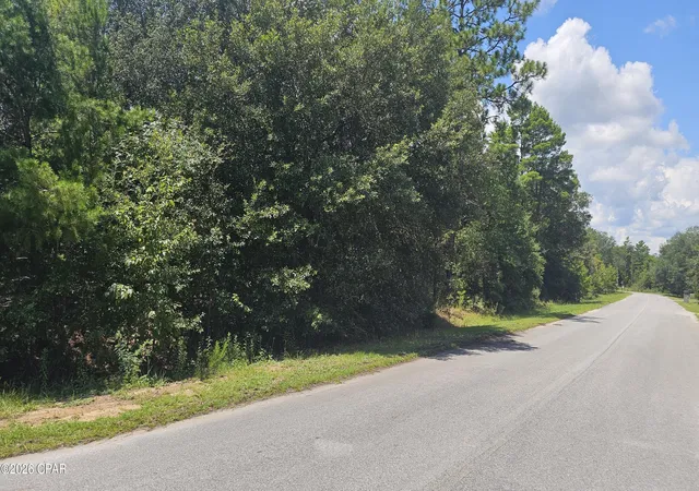 Photo 2 of Land for sale at 253 Acres Lucas Lake Rd, Chipley, FL 32428 | MLS# 793777 | Listing updated on 2026-08-18