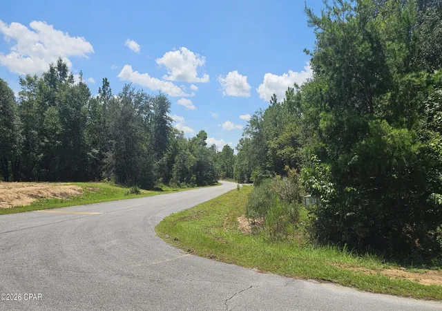 Photo 3 of Land for sale at 253 Acres Lucas Lake Rd, Chipley, FL 32428 | MLS# 793777 | Listing updated on 2026-08-18