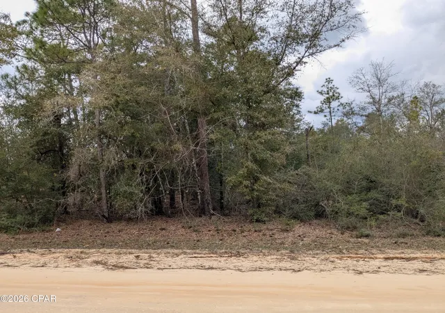 Photo 3 of Land for sale at 00 Pilgrim Rest Church Rd, Marianna, FL 32448 | MLS# 793792 | Listing updated on 2026-08-09