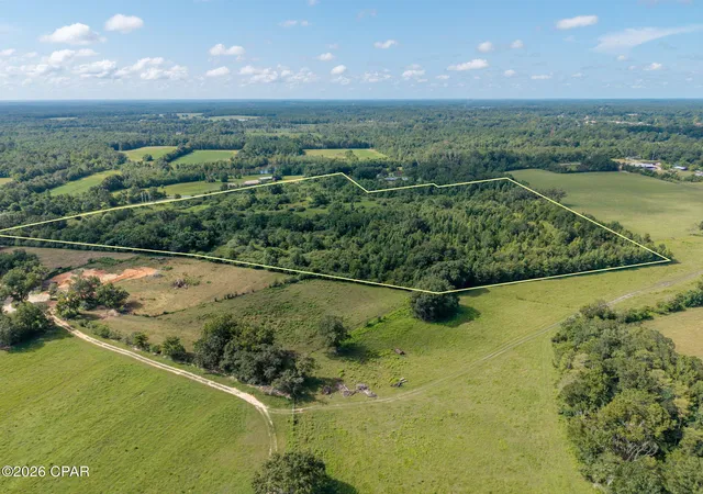 Photo 3 of Land for sale at Xxx Highway 173, Bonifay, FL 32425 | MLS# 793799 | Listing updated on 2026-08-09