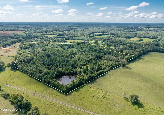 Photo 4 of Land for sale at Xxx Highway 173, Bonifay, FL 32425 | MLS# 793799 | Listing updated on 2026-08-09