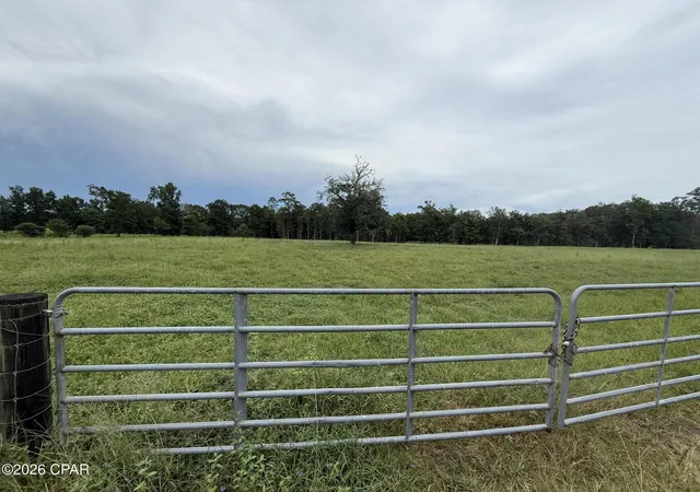 Photo 2 of Sale Pending at Xxxx Hwy 179a, Westville, FL 32464 | MLS# 793800 | Listing updated on 2026-09-25