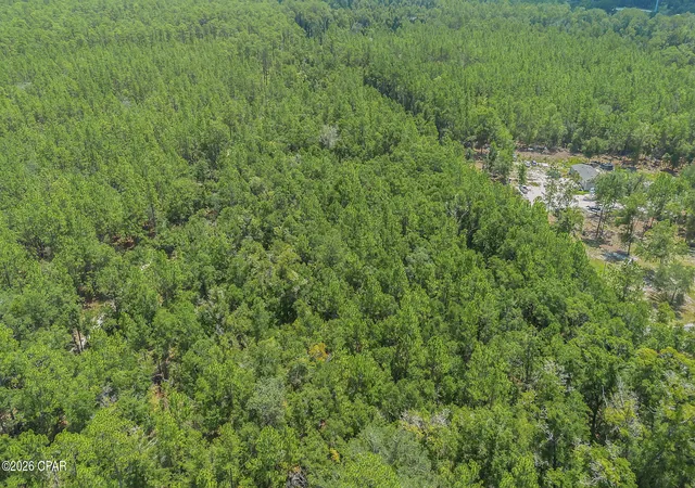 Photo 4 of Land for sale at 0 Ll Wallace Rd, Tallahassee, FL 32305 | MLS# 793905 | Listing updated on 2026-08-13