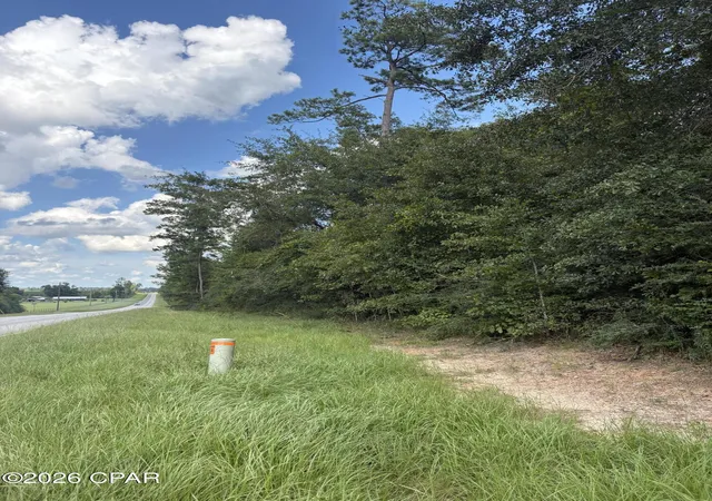 Land for sale at 0 Kynesville Rd, Cottondale, FL 32431 | MLS# 793974