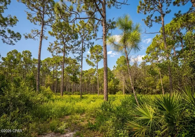 Photo 3 of Land for sale at 109 Via Italia, Panama City Beach, FL 32407 | MLS# 794074 | Listing updated on 2026-10-01