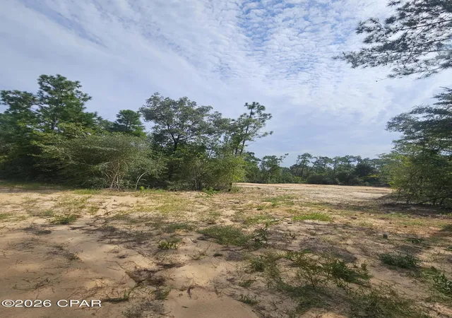 Photo 1 of Land for sale at 1225 Alene Dr, Alford, FL 32420 | MLS# 794127 | Listing updated on 2026-08-15