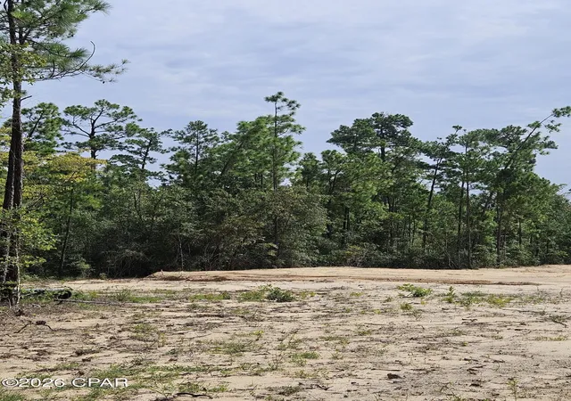 Photo 2 of Land for sale at 1225 Alene Dr, Alford, FL 32420 | MLS# 794127 | Listing updated on 2026-08-15