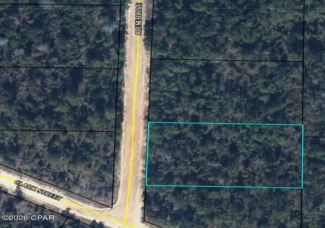 Photo 3 of Land for sale at 1225 Alene Dr, Alford, FL 32420 | MLS# 794127 | Listing updated on 2026-08-15