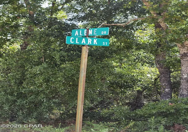 Photo 4 of Land for sale at 1225 Alene Dr, Alford, FL 32420 | MLS# 794127 | Listing updated on 2026-08-15