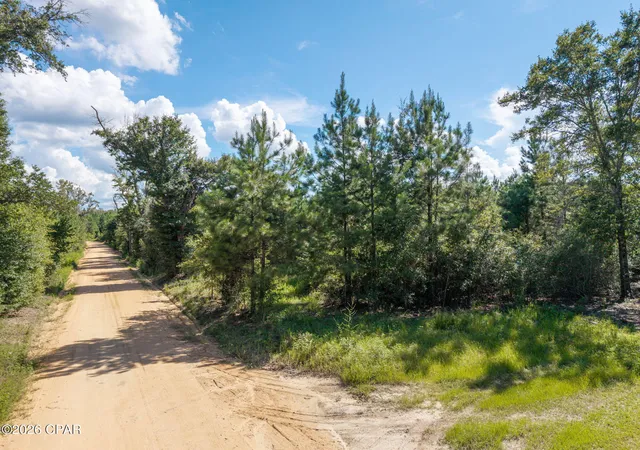 Photo 2 of Sale Pending at Xxx New Prospect Rd, Chipley, FL 32428 | MLS# 794155 | Listing updated on 2026-08-25