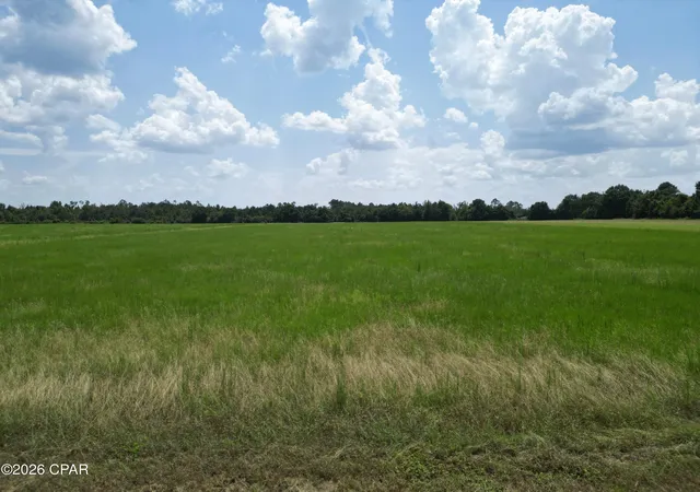 Photo 1 of Land for sale at Xx Cr 69a, Blountstown, FL 32424 | MLS# 794330 | Listing updated on 2026-08-20