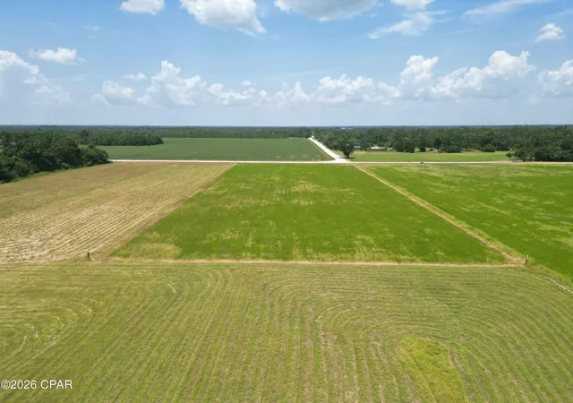 Photo 2 of Land for sale at Xx Cr 69a, Blountstown, FL 32424 | MLS# 794330 | Listing updated on 2026-08-20