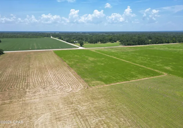 Photo 3 of Land for sale at Xx Cr 69a, Blountstown, FL 32424 | MLS# 794330 | Listing updated on 2026-08-20