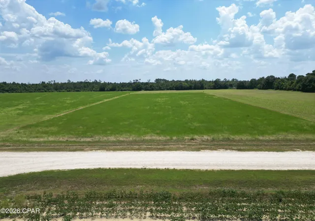 Photo 3 of Land for sale at Xx Cr 69a, Blountstown, FL 32424 | MLS# 794330 | Listing updated on 2026-08-20