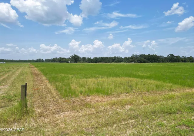 Photo 4 of Land for sale at Xx Cr 69a, Blountstown, FL 32424 | MLS# 794330 | Listing updated on 2026-08-20