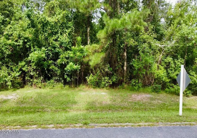 Photo 2 of Land for sale at 113 Little River Cir, Wewahitchka, FL 32465 | MLS# 794348 | Listing updated on 2026-08-20