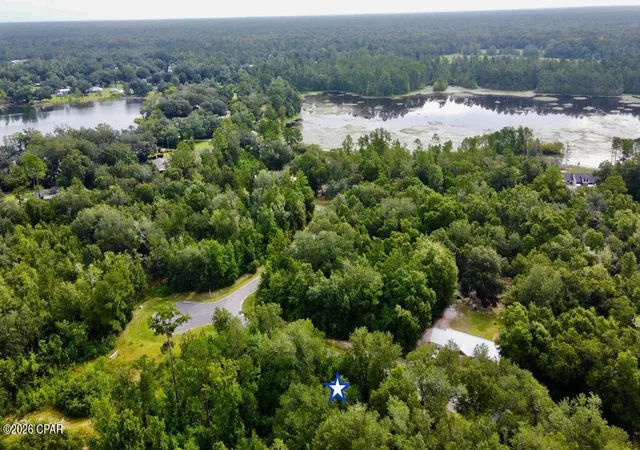 Photo 3 of Land for sale at 113 Little River Cir, Wewahitchka, FL 32465 | MLS# 794348 | Listing updated on 2026-08-20