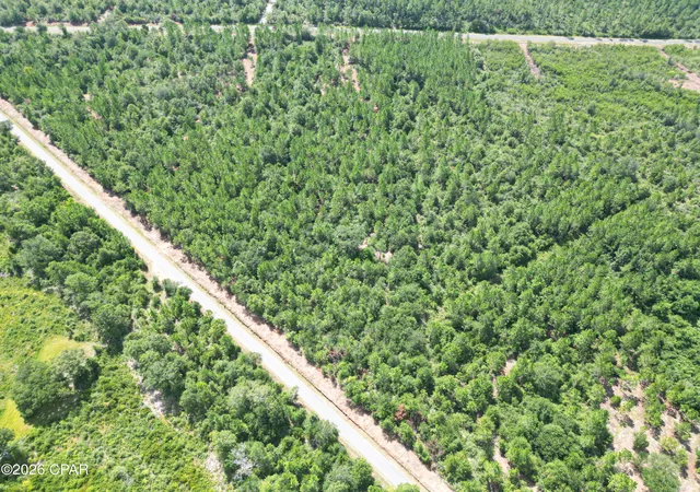 Photo 3 of Land for sale at 0002 Douglas Fry Rd, Bonifay, FL 32425 | MLS# 794350 | Listing updated on 2026-08-20